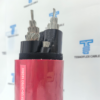 (N)TSCGEWTOEUS reeling cable