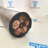 Type W Cable Five-Conductor Sample Five-conductor Type W cable sample with flexible stranded copper conductors and black outer jacket