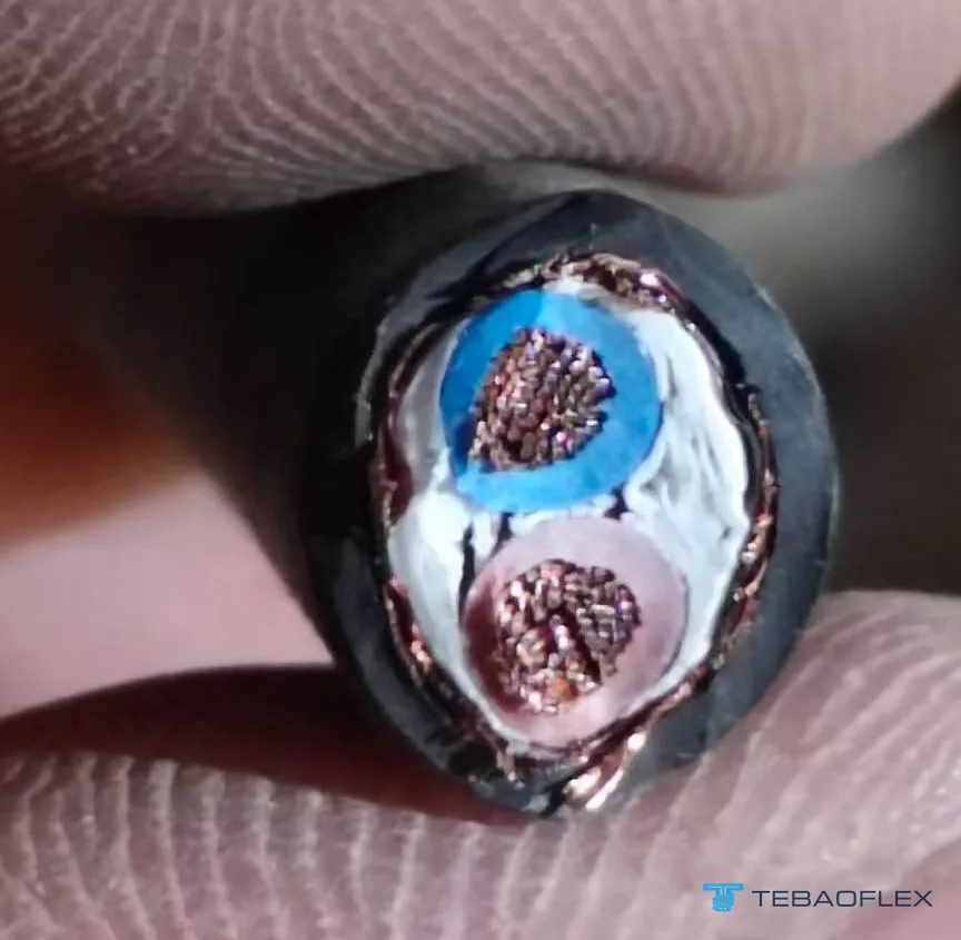Срез экранированного кабеля 2×2.5 mm²: две многопроволочные медные жилы с синей и коричневой изоляцией из PVC, белые заполнители, экран из медной проволочной оплётки и чёрная оболочка из PVC